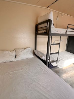 WhatsApp Image 2025-11-11 at 12.29.13